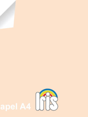 3148950067593