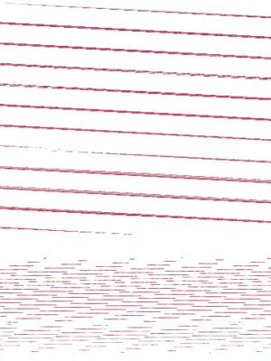 4902505417504