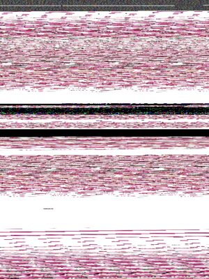 8422831323066