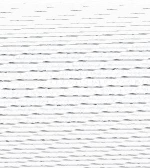 8425901806001